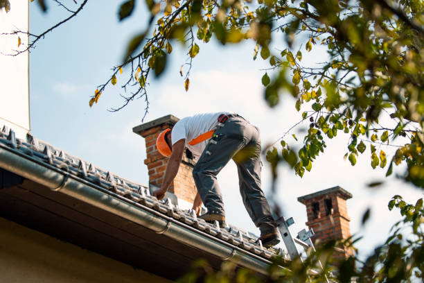 Best Roof Insulation Installation  in Rainelle, WV