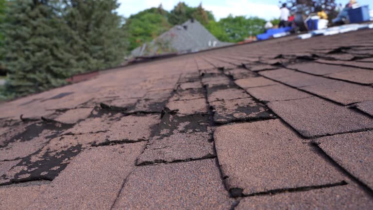 Best Roof Waterproofing  in Rainelle, WV