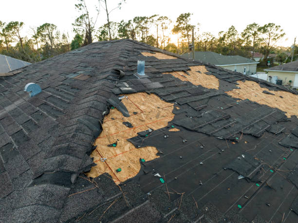 Asphalt Shingles Roofing in Rainelle, WV