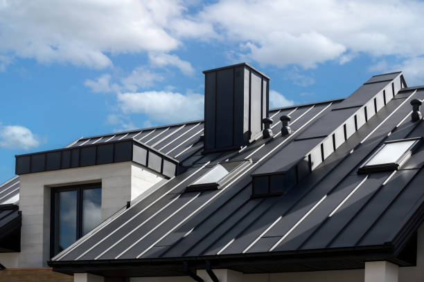Best Roof Maintenance and Cleaning  in Rainelle, WV